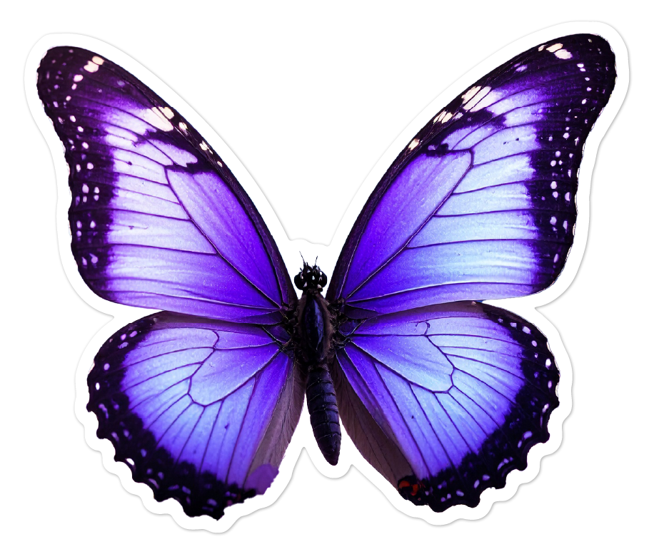 Sticker of a purple butterfly on a white background