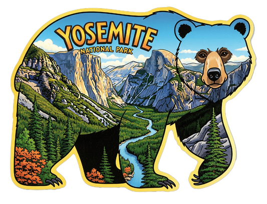 Yosemite National Park Bear