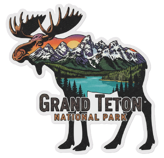 Grand Teton National Park Moose