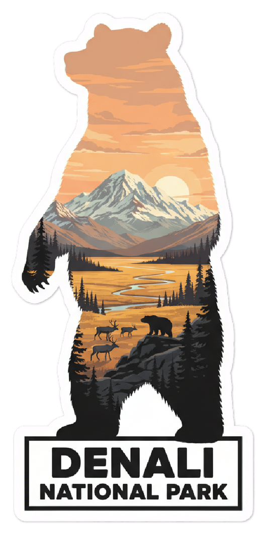 Denali National Park Bear