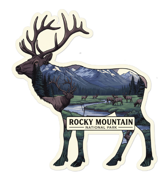 Rocky Mountain National Park Elk