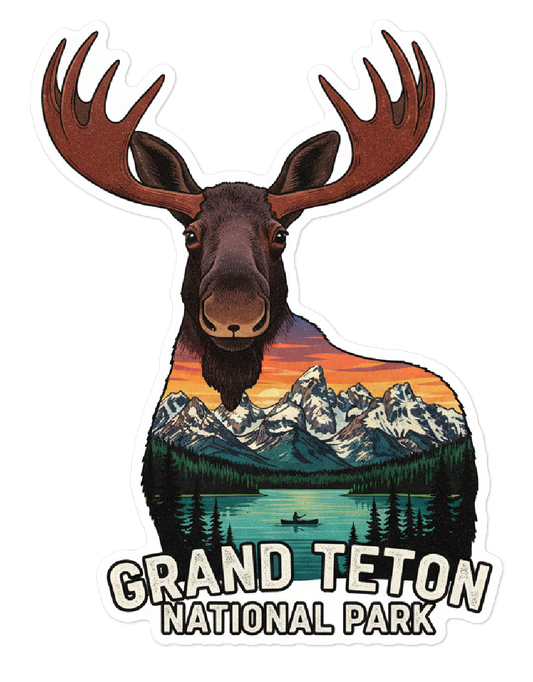 Grand Teton National Park Moose
