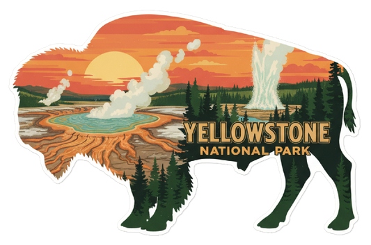 Yellowstone National Park Bison