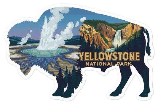 Yellowstone National Park Bison