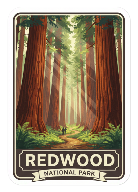 Redwood National Park