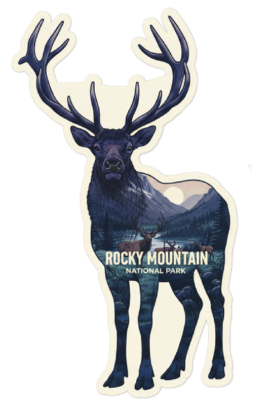 Rocky Mountain National Park Elk