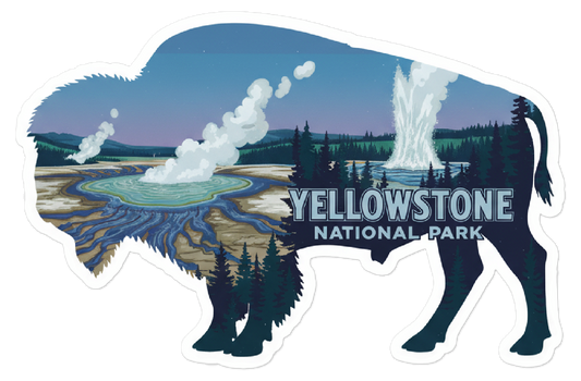 Yellowstone National Park Bison