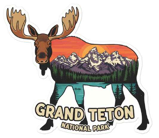 Grand Teton National Park Moose