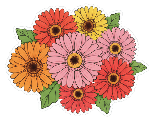 Gerbera Daisies