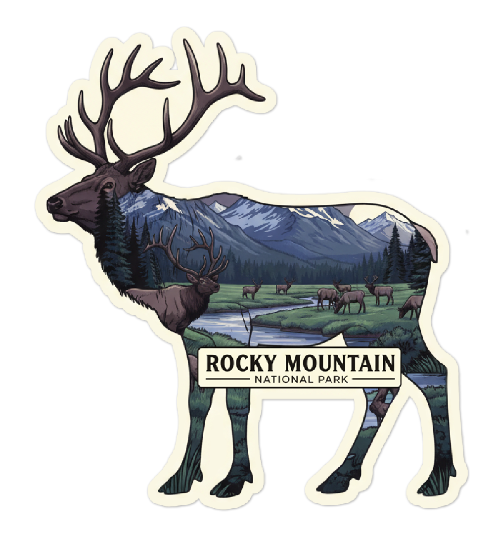 Rocky Mountain National Park Elk