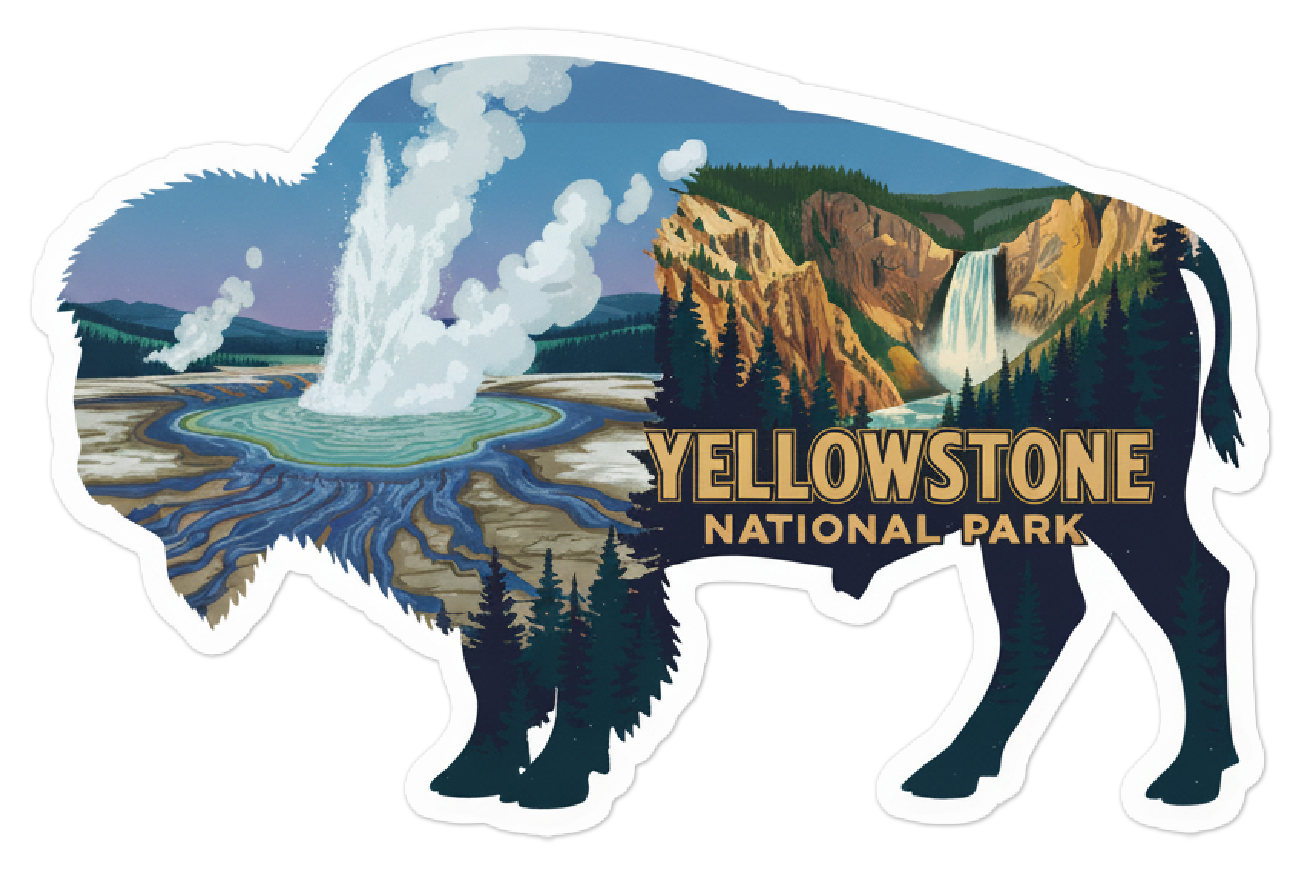 Yellowstone National Park Bison