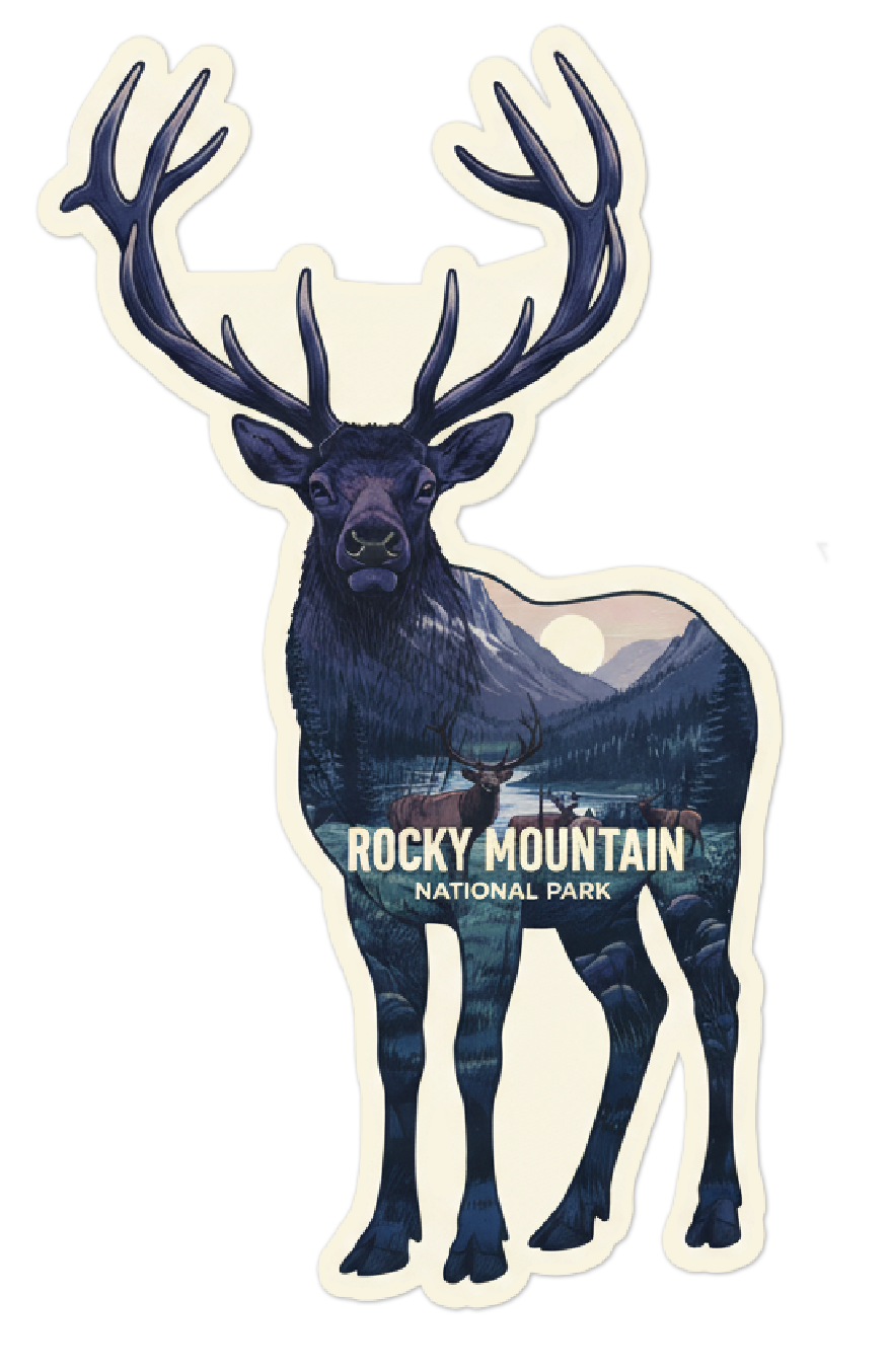 Rocky Mountain National Park Elk