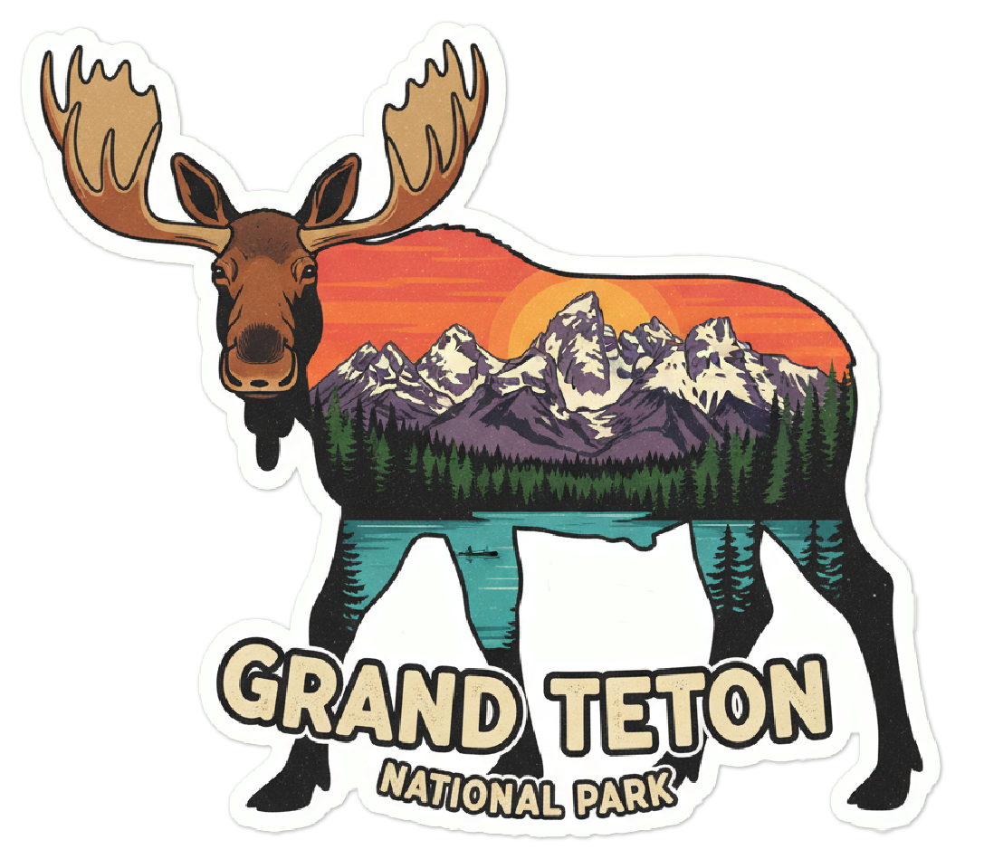 Grand Teton National Park Moose