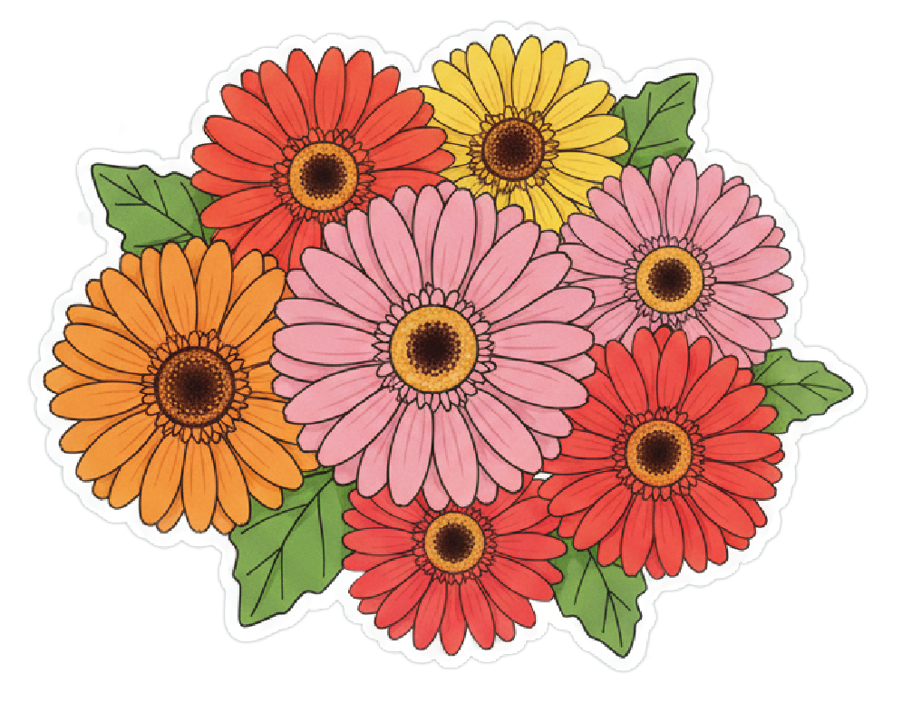 Gerbera Daisies